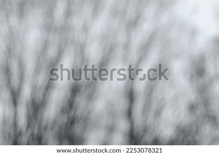 Abstract background with defocused branches in winter forest.