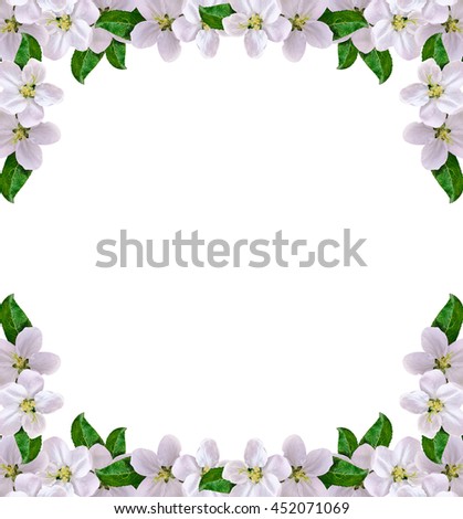 Similar – Hops frame on white background