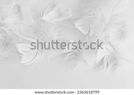abstract background. Background for design with soft colorful feathers pattern