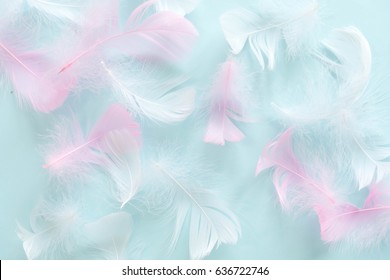 91,131 Feather pastel Images, Stock Photos & Vectors | Shutterstock