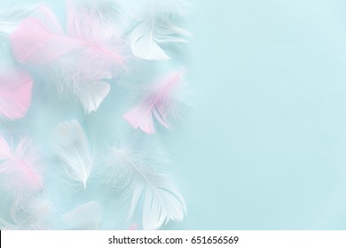 3,259,834 Feather Stock Photos, Images & Photography | Shutterstock