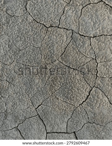 Abstract background of dried mudcracks on a parched ground.