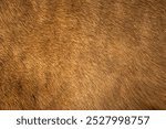 abstract background of an elegant fur in warm brown tone close up