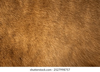 abstract background of an elegant fur in warm brown tone close up