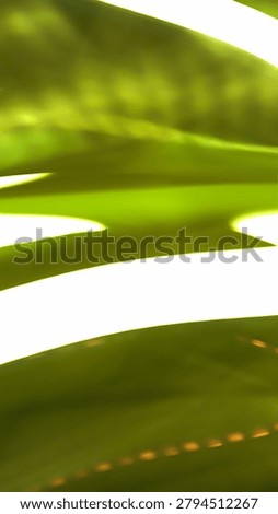 Abstract background featuring smooth, glowing neon green and bright white light trails flowing dynamically in wavy patterns against a dark green backdrop, conveying energetic motion
