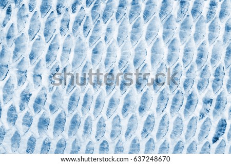 abstract background of a fish scale closeup, x-ray effect