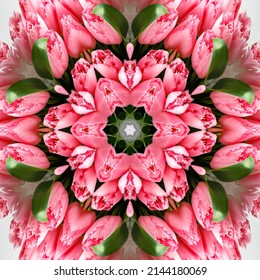 abstract background of flower pattern of a kaleidoscope. pink green white background fractal mandala. square kaleidoscopic arabesque. geometrical ornament floral pattern with tulip flowers - Powered by Shutterstock