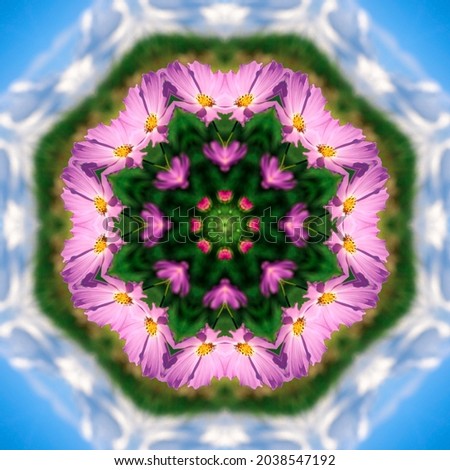 abstract background of flower pattern of a kaleidoscope. pink purple green blue background fractal mandala. square kaleidoscopic arabesque. geometrical ornament floral pattern with cosmos flowers