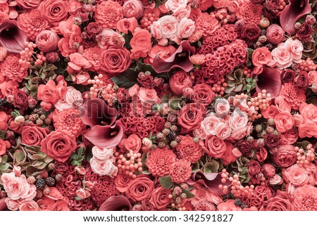 Abstract background of flowers Close-up.