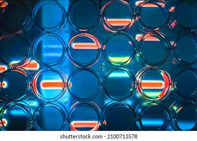 Abstract Background - Genome Research. A Look Through A 24-well Plate.