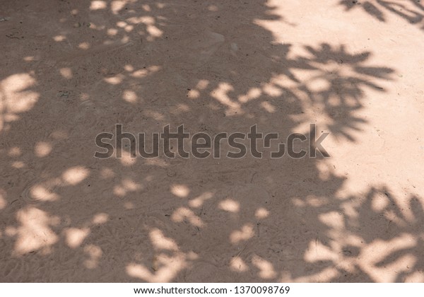 Abstract background, gray shadows of
natural leaves, fallen branches on the surface of the sand wall for
the background and black and white tone
wallpaper.