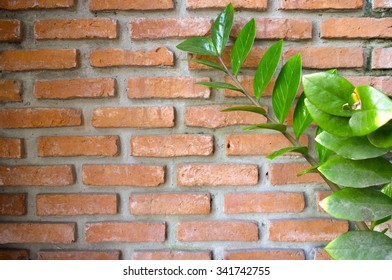 Abstract Background Green Plant Against On Stock Photo 341742755