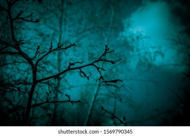 Abstract Background, Horror Style. Bloody Surrealistic Scary Black Creepy Mystical Curved Silhouettes Of Tree Branches In The Forest Lit By A Ghostly Blue Moon Mysterious Light, Gloomy Dark Night Sky