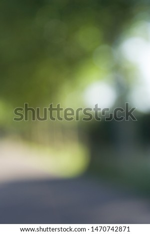 Abstract Background Intentionally Blurry Colorful Green Tree Sunlight