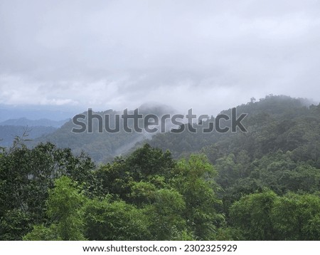 The abstract background Jungle.a beautiful landscape. Natural abstract background,Thailand.Limestone mountains have a lot of limestone. Behind the blue sky and foggy clouds.selective focus.