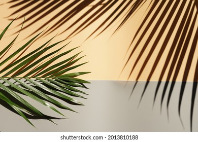abstract background from leaf and shadow,for text,copy space