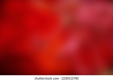 Abstract background luxury Vivid blurred colorful gradient texture wallpaper studio backdrop banner premium photo