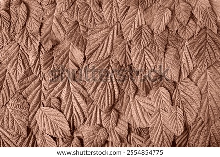 Abstract background made of raspberry leaves. Mockup for your text and sentences. Demonstrating the colors of 2025 - Mocha Mousse.