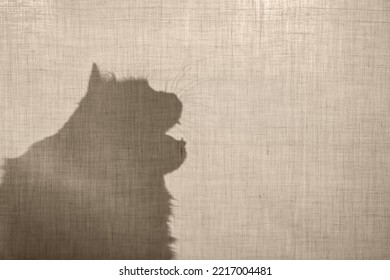 Abstract Background. Meowing Cat Behind A Beige Cotton Fabric. Shadow, Silhouette Of A Cat. Fabric Texture With Copy Space. 