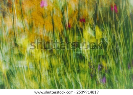 Similar – summer meadow Colour photo