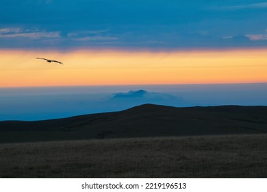 Abstract background, Mountain scenery with mist clouds and flight lonely bird in the dawn. Dawn mountains have become impressive landscapes due to the orange sky and fog. - Powered by Shutterstock