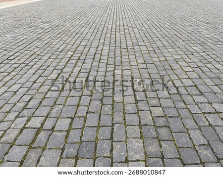 Abstract background. Old cobblestone pavement close-up
