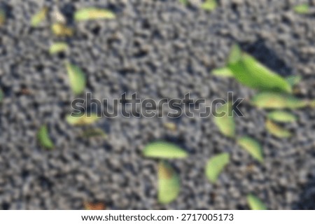 The abstract background is out of focus. Texture of a dark gray hot rolled sheet (HRS) asphalt surface with fine gravel, scattered with green and brown Ficus benghalensis leaves.