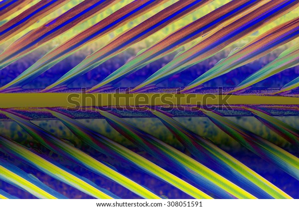 Abstract
background, Patterns of coconut
leaves.