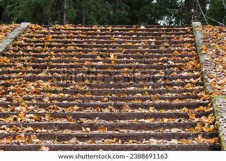 Abstract background photo with an empty stone stairway in an autumn park