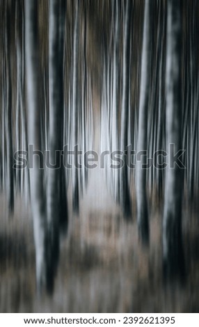 abstract background resembling trees in a forest 