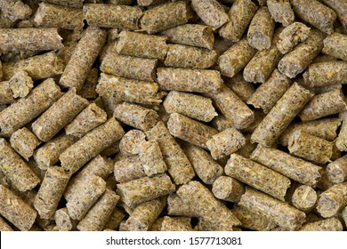 abstract background of rodent feed texture closeup                               - Powered by Shutterstock