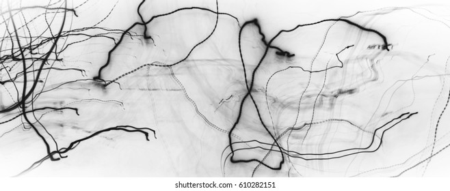 Abstract Background, Scribble. Curly Black Lines On White.