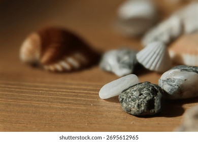 Abstract background with seashells and shells. Decorative collection with a marine theme for greeting cards, labels, or gift tags.