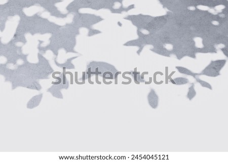 Abstract background abstract shadow of lemon tree leaves on a white wall overlay effect for photo mockup product wall art design presentation with copy space.
