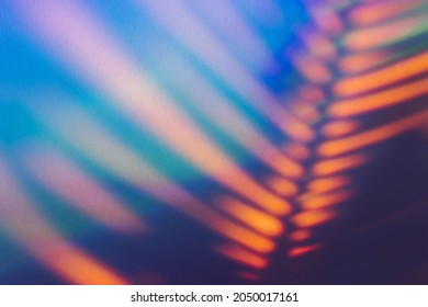 background and Abstract palm