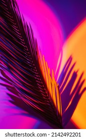 Abstract background with shadow from a palm leaf in neon light.