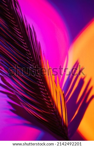 Abstract background with shadow from a palm leaf in neon light.