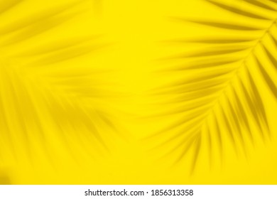 Abstract background shadows palm leaves yellow background