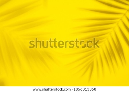 Abstract background of shadows palm leaves on yellow background