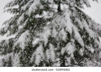 Abstract Background Snow Falling Heavily Evergreen Stock Photo ...