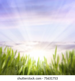 abstract background of spring grass and sky