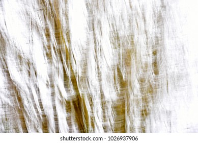 Abstract. Background or texture.