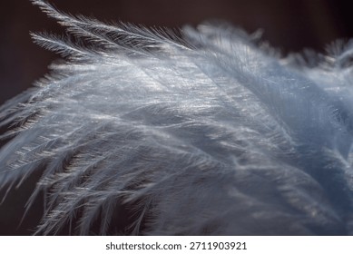 Abstract background texture - closeup of soft light blue silk feathers