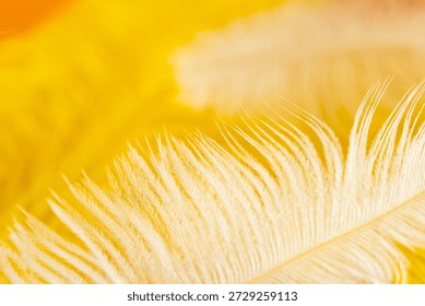 Abstract background texture - closeup of soft yellow and white silk feathers.