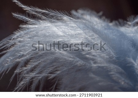 Abstract background texture - closeup of soft light blue silk feathers