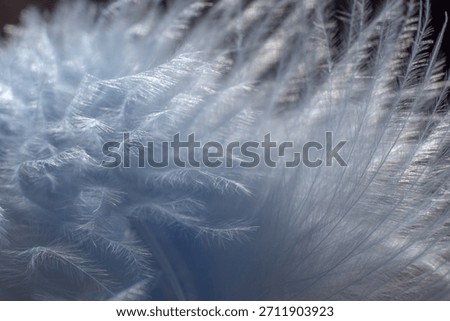 Abstract background texture - closeup of soft light blue silk feathers