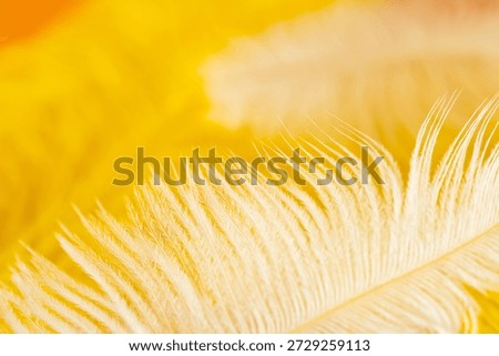Abstract background texture - closeup of soft yellow and white silk feathers.