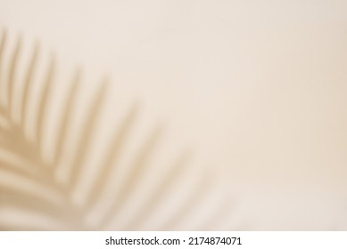 Abstract background with tropical palm leaves shadow on beige wall, Creative minimal design with copy space, Summer concept, flat lay - Shutterstock ID 2174874071