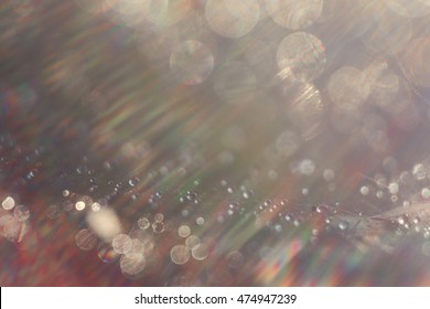 Abstract Background. Water Droplets On A Spider Web. Selective Focus. Light Transition, Lens Flare, Light Leaks, Sun Rays, Bokeh. 