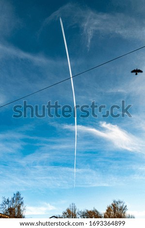 Similar – Image, Stock Photo Together towards the sun